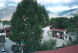 drapchi prison lhasa